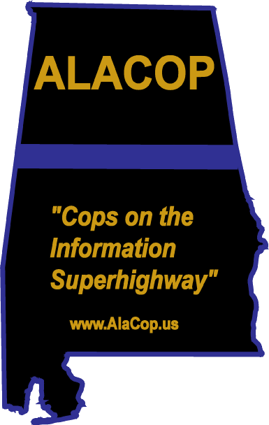 Cops on the Information Superhighway